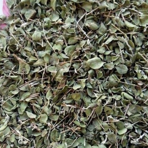 آویشن شیرازی 